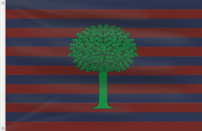 Flagge, mit zwei Metallösen und verstärktem Besatzband: Floresta  Boyacá	Floresta (Boyacá)	Municipio de Floresta  Boyacá