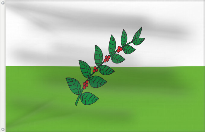 Flagge, mit zwei Metallösen und verstärktem Besatzband: San Juan de Rioseco  Cundinamarca	San Juan de Rioseco (Cundinamarca)	Municipio de San Juan de Rioseco  Cundinamarca