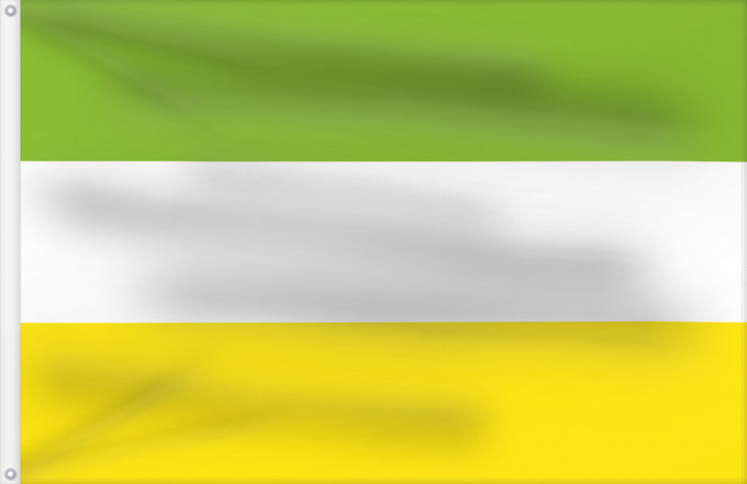 Bandera, con dos ojales metálicos y lado del asta reforzado: San Martín  Meta	San Martín (Meta)	Municipio de San Nartín de los Llanos  Meta
