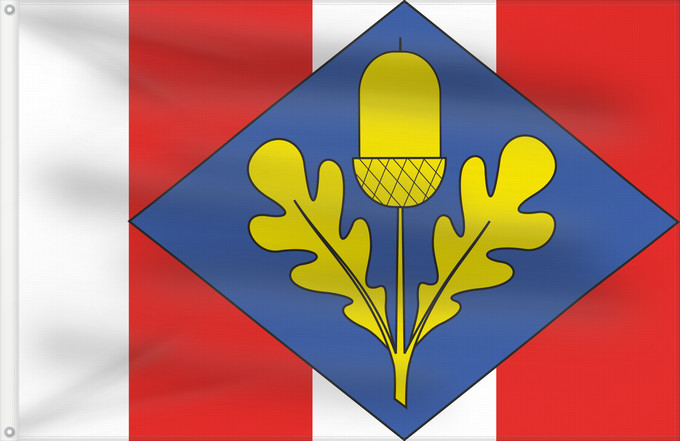 Flag, with two metal eyelets and reinforced hoist: Brněnec flag CZ Municipal flag of Brněnec village Brněnec Brněnec, okres Svitavy