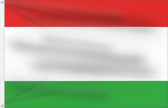 Flag, with two metal eyelets and reinforced hoist: Brno-Bohunice vlajka Former flag of Brno-Bohunice Brno-Bohunice (ancien) Brno-Bohunice (anterior) Brno-Bohunice (ehemalig) Brno-Bohunice (ex) Historická vlajka městské části Brna-Bohunic