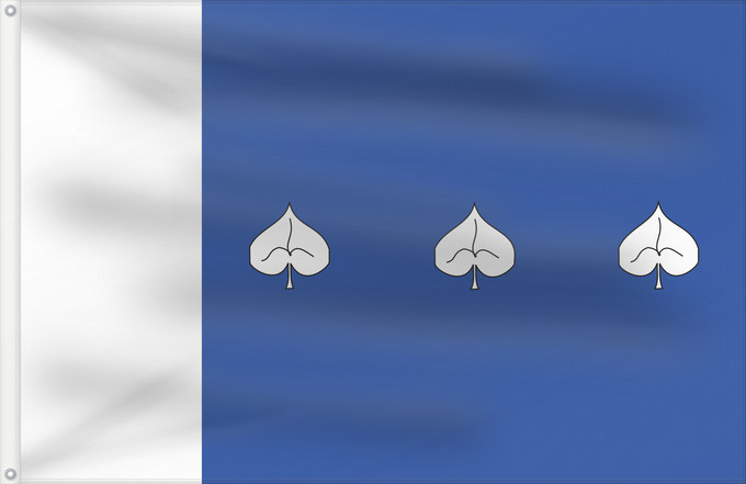 Flag, with two metal eyelets and reinforced hoist: Cidlina TR	This W3C-unspecified vector image was created with Inkscape	Cidlina	Vesnice cs Cidlina, okres Třebíč