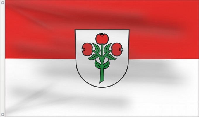 Flag, with two metal eyelets and reinforced hoist: Schwarzach (Nördliches Baden-Württemberg)