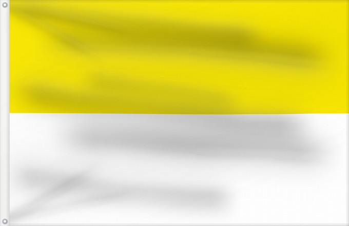 Flag, with two metal eyelets and reinforced hoist: Deutsche Zentrumspartei	German Centre Party	Deutschen Zentrumspartei	Vun de Düütsche Zentrumspartei