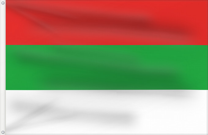 Bandiera, con due occhielli metallici e lato dell'asta rinforzato: Liflandia Governorate Gouvernorat de Liflandia Gobernación de Liflandia Gouvernement Liflandia Governatorato di Liflandia