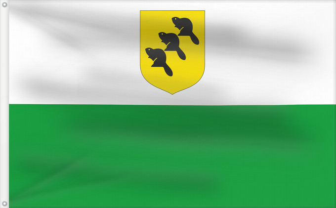 Drapeau, avec deux œillets métalliques et guindant renforcé : Põlvamaa lipp