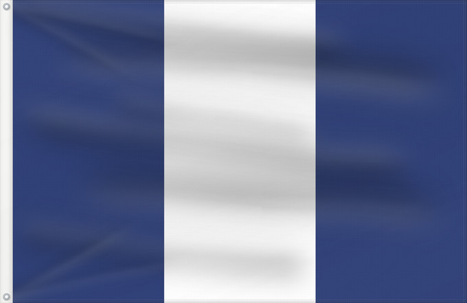 Flag, with two metal eyelets and reinforced hoist: San Alejo, El Salvador	Municipal flag of San Alejo, El Salvador	San Alejo (municipalité)	San Alejo (municipio)	San Alejo (Gemeinde)	San Alejo (comune)