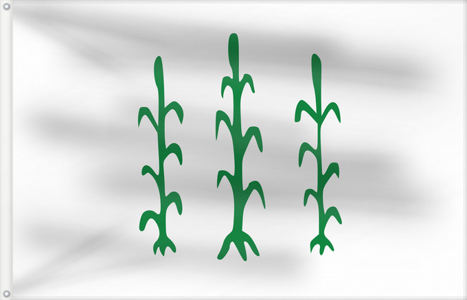 Bandera, con dos ojales metálicos y lado del asta reforzado: D Alcanar	Alcanar