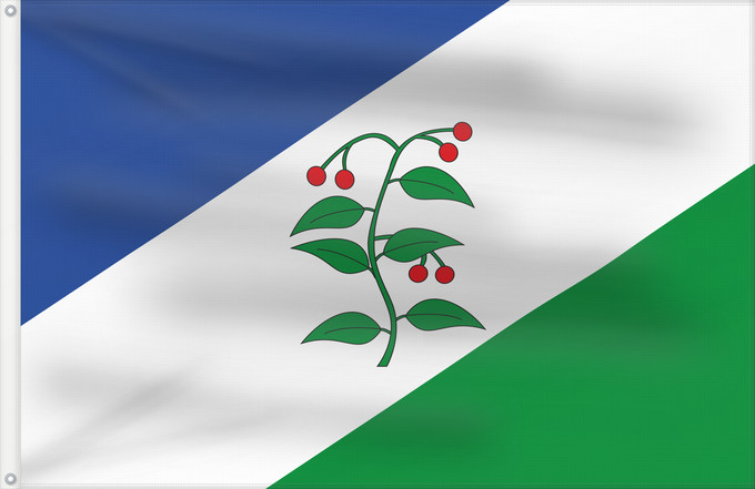 Bandera, con dos ojales metálicos y lado del asta reforzado: D Arbúcies	It is easy to put a border around this flag image	Arbúcies	Apaisada	Apaïsada de proporcions dos dalt per tres de llarg