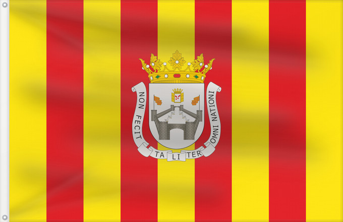 Flag, with two metal eyelets and reinforced hoist: Daroca Ciudad de Daroca Aragón D a ziudat de Daroca Aragón