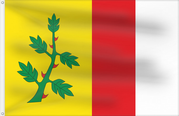 Bandera, con dos ojales metálicos y lado del asta reforzado: Espinosa de Villagonzalo Espinosa de Villagonzalo Palencia, Spain Municipial de Espinosa de Villagonzalo Palencia