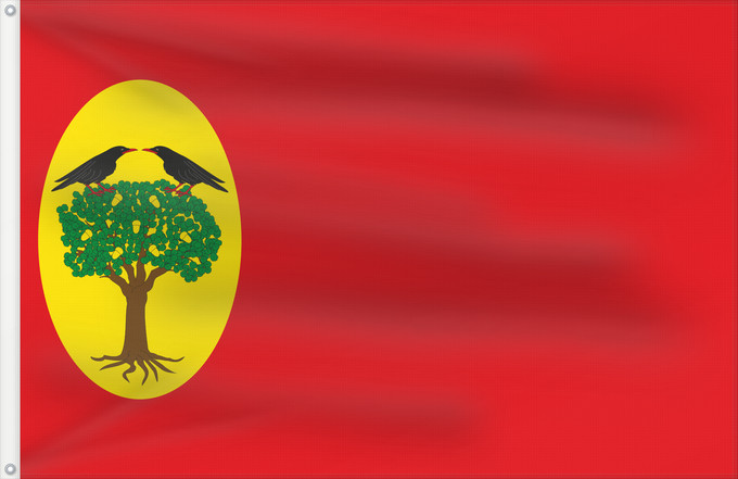 Bandera, con dos ojales metálicos y lado del asta reforzado: Leciñena	Leciñena-Zaragoza-Spain	Leciñena-Zaragoza