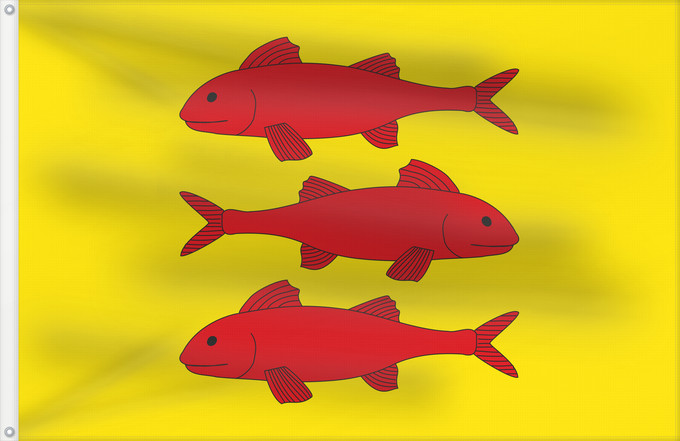 Bandera, con dos ojales metálicos y lado del asta reforzado: Vallmoll Apaisada Apaïsada