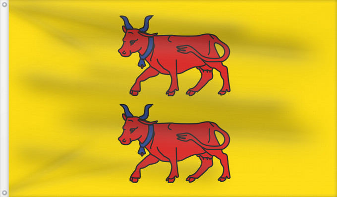 Flag, with two metal eyelets and reinforced hoist: Béarn Region Béarn in France Région Béarn en France