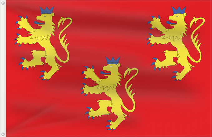 Flag, with two metal eyelets and reinforced hoist: Fr département Dordogne	Dordogne	Département de la Dordogne