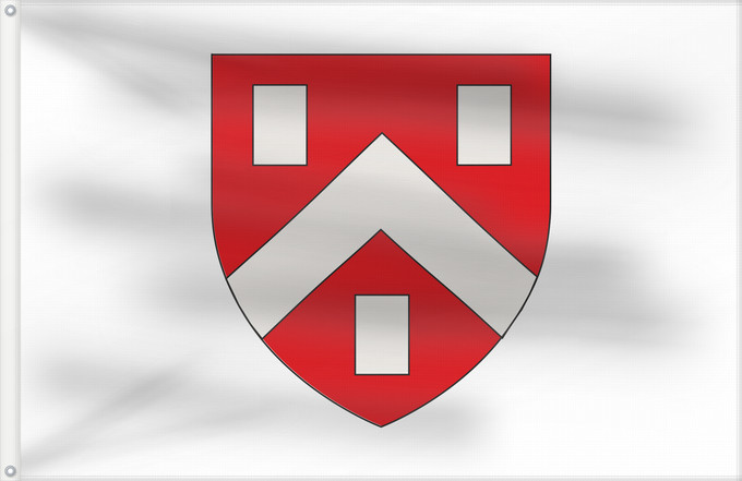 Flag, with two metal eyelets and reinforced hoist: Cesson-Sévigné
