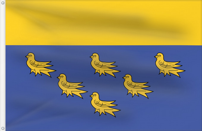 Flag, with two metal eyelets and reinforced hoist: West Sussex