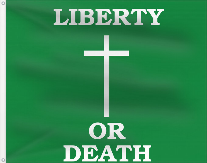 Flag, with two metal eyelets and reinforced hoist: Arklowflag	Carried by rebels at battle of Arklow
