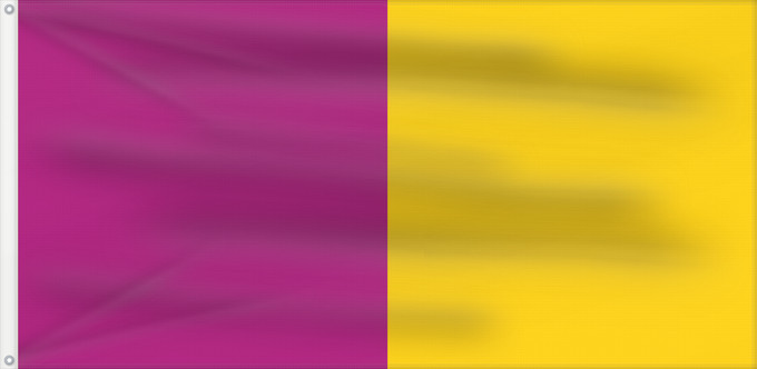 Flagge, mit zwei Metallösen und verstärktem Besatzband: County Wexford	Comté de Wexford	Condado de Wexford	Contea di Wexford