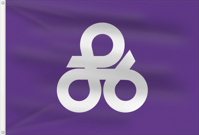 Flag, with two metal eyelets and reinforced hoist: Okinawa, Okinawa	沖縄市旗