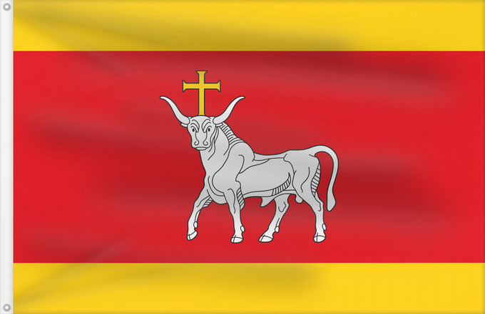 Flagge, mit zwei Metallösen und verstärktem Besatzband: LTU Kaunas	Kowna