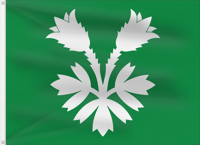 Bandera, con dos ojales metálicos y lado del asta reforzado: Oppland	Former county of Oppland, Norway	comté d’Oppland