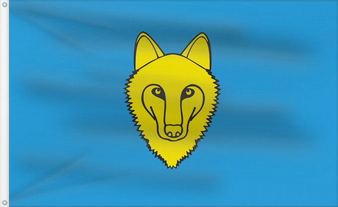 Bandera, con dos ojales metálicos y lado del asta reforzado: POL gmina Wilczyn Wilczyn Commune Gminy Wilczyn