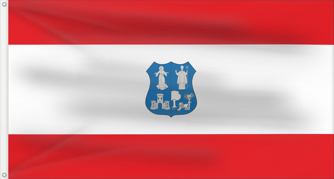 Flag, with two metal eyelets and reinforced hoist: Asunción	Escudo y bandera de la ciudad según la Ordenanza 208/01