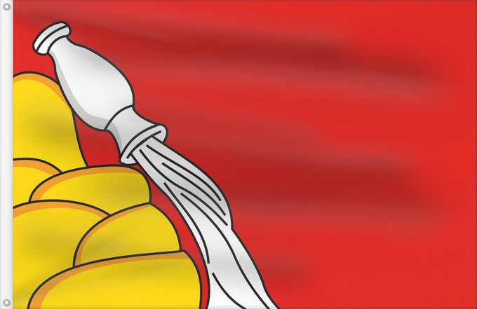 Flag, with two metal eyelets and reinforced hoist: Voronezh Oblast	Voronezh Oblast of Russia	Oblast de Voronej	Óblast de Vorónezh	Oblast Woronesch	Флаг Воронежской области  Россия	Прапор Воронезької області  Росія