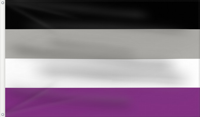 Flag, with two metal eyelets and reinforced hoist: Asexual Pride	Asexual flag