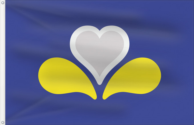 Drapeau, avec deux œillets métalliques et guindant renforcé : Brussels-Capital Region	Brussels-Capital Region, adopted in 2015	Région de Bruxelles-Capitale, depuis 2015	Región de Bruselas-Capital (2015)	Region Brüssel-Hauptstadt (2015)	Regione di Bruxelles-Capitale (2015)	Het Brussels Hoofdstedelijk Gewest sinds 201