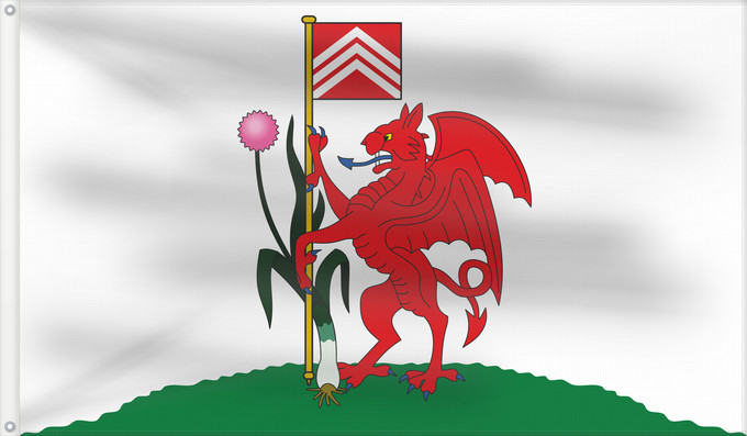 Drapeau, avec deux œillets métalliques et guindant renforcé : Cardiff	City of Cardiff