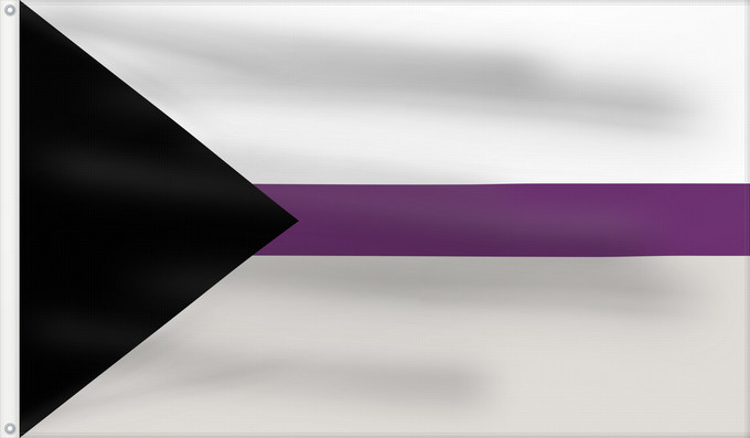 Drapeau, avec deux œillets métalliques et guindant renforcé : Demisexual Pride	Claimed flag for the demisexual sexuality