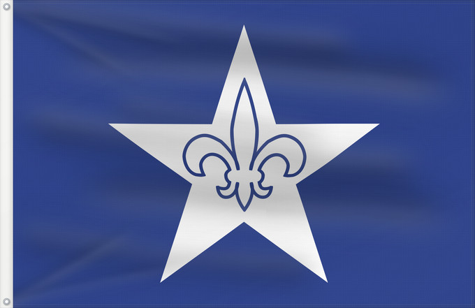 Drapeau, avec deux œillets métalliques et guindant renforcé : Français-américain The Franco-American flag with a fleur-de-lis within a white star is the flag of the Assemblée des francophones du Nord-Est who adopted it in 1983. The blue and white are taken from the flags of the U Franco-américain avec une fleur de l