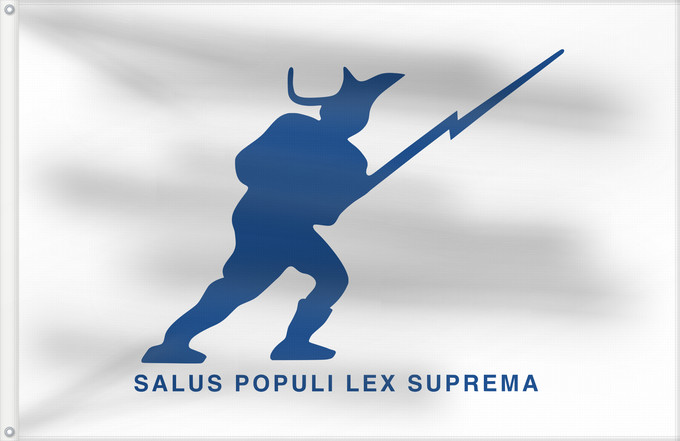 Drapeau, avec deux œillets métalliques et guindant renforcé : East Florida Patriot