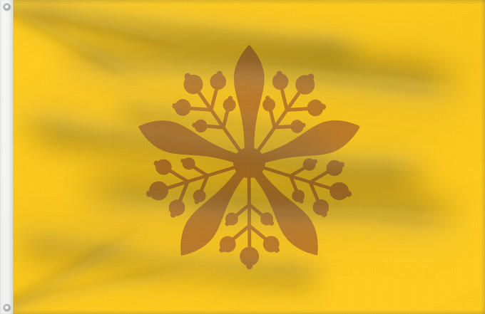 Drapeau, avec deux œillets métalliques et guindant renforcé : Emperor of Manchukuo	Drapeau de l'Empereur du Mandchoukouo	Bandera del Emperador de Manchukuo	Kaisers von Mandschuko	Bandiera dell'Imperatore del Manciukuò	滿洲國皇帝 / 満洲国皇帝旗	満州國 皇帝의 旗 / 만주국 황제의 기	​满洲国皇帝私人旗	​滿洲國皇帝私人旗