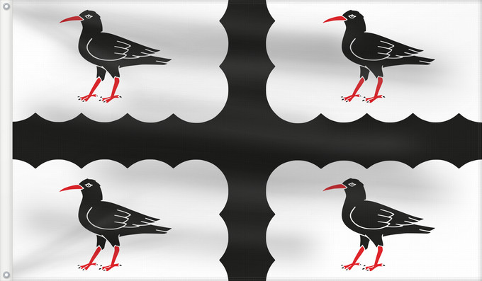 Drapeau, avec deux œillets métalliques et guindant renforcé : Flintshire flag  ABC proposal	Based on it