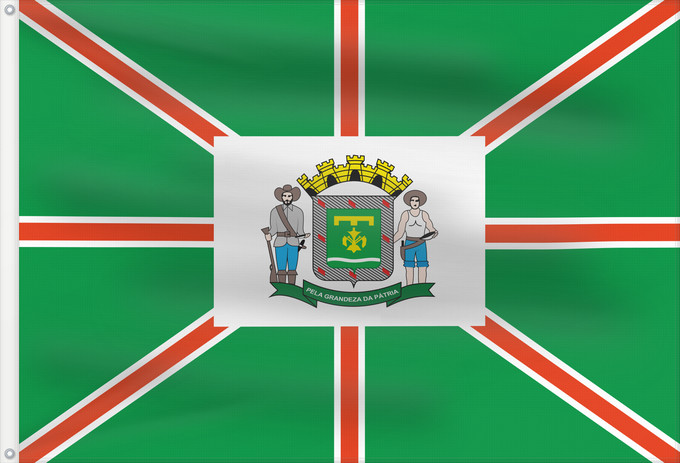 Drapeau, avec deux œillets métalliques et guindant renforcé : Goiânia	Goiânia, Goiás	Município de Goiânia, Goiás