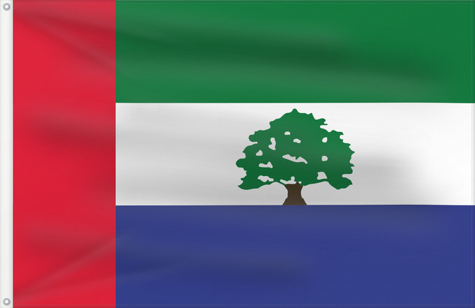 Drapeau, avec deux œillets métalliques et guindant renforcé : Hadramout	علم حضرموت