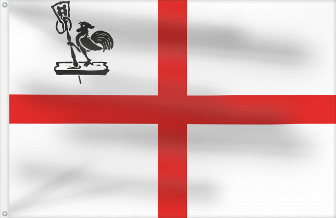 Drapeau, avec deux œillets métalliques et guindant renforcé : History flag of Romagna