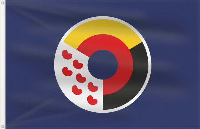 Drapeau, avec deux œillets métalliques et guindant renforcé : Interfrisian	Interfrisian Council, accepted in June 2009	Interfriesischen Rates, angenommen im Juni 2009	Ynterfryske Flagge fan de Fryske Rie, Juny 2009	Interfreeske Flagg van de Fresenraad, Juni 2009