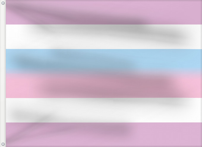 Flag, with two metal eyelets and reinforced hoist: Bigender Pride	Bigender people