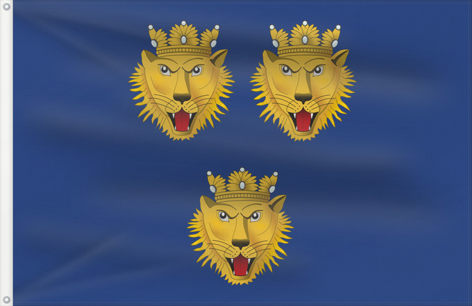 Drapeau, avec deux œillets métalliques et guindant renforcé : Italian irredentist Dalmatia	Dalmatia used by Italian irredentists	Dalmatie (irrédentiste italienne)	Dalmacia (irredentista italiana)	Dalmatien (Italienische Irredentisten)	Dalmazia usata dai Irredentisti Italiani