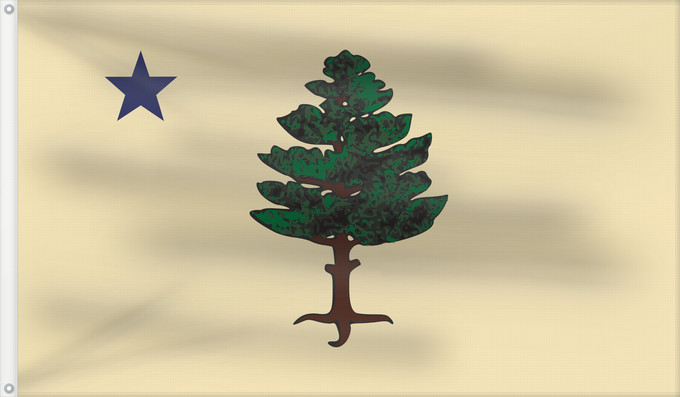 Flag, with two metal eyelets and reinforced hoist: Maine 1901-1909 Maine, 1901—1909