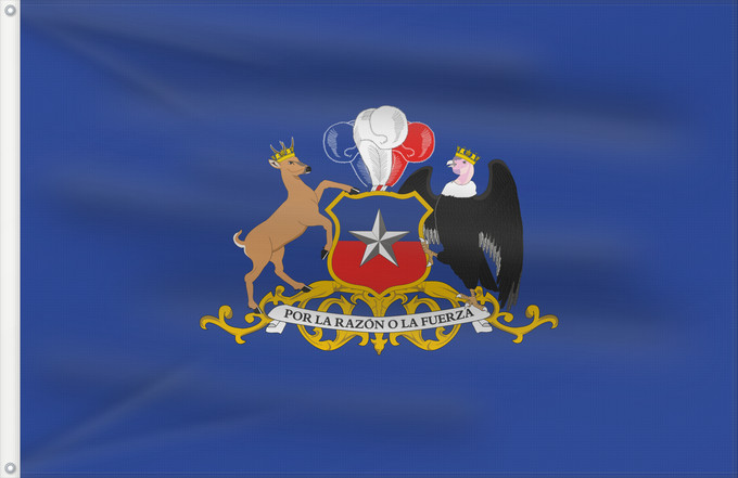 Drapeau, avec deux œillets métalliques et guindant renforcé : Minister of Defence of Chile  c	Minister of Defence of Chile	Ministro de Defensa de Chile
