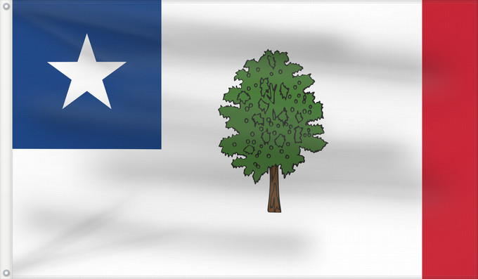 Drapeau, avec deux œillets métalliques et guindant renforcé : Mississippi 1861