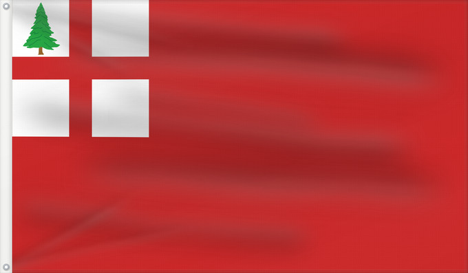 Drapeau, avec deux œillets métalliques et guindant renforcé : New England combo	New England red ensign