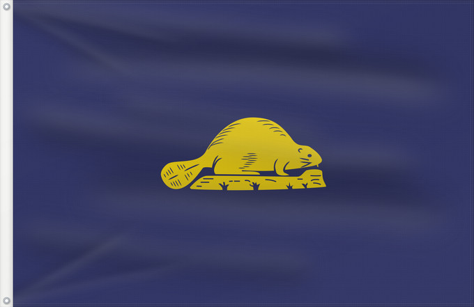 Drapeau, avec deux œillets métalliques et guindant renforcé : Oregon  reverse	Oregon (reverse)	Oregon (envers)	Oregón (reverso)	Oregon (Rückseite)	Oregon (rovescio)	The reverse of the state flag of Oregon, USA