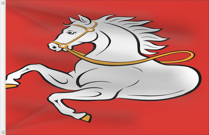 Drapeau, avec deux œillets métalliques et guindant renforcé : Pardubice	Municipal flag of Pardubice city, Czechia	Města Pardubice