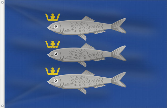 Flag, with two metal eyelets and reinforced hoist: Scheveningen